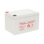 MaxGreen 12Ah UPS Battery